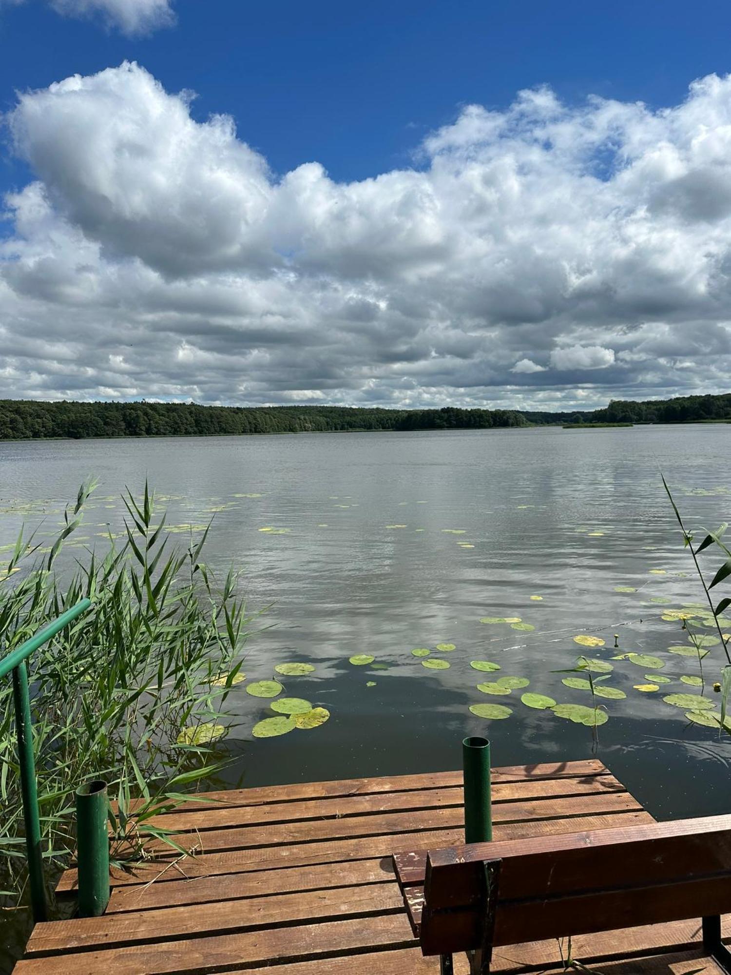 Brzezina Resort - Wille Znin Luaran gambar