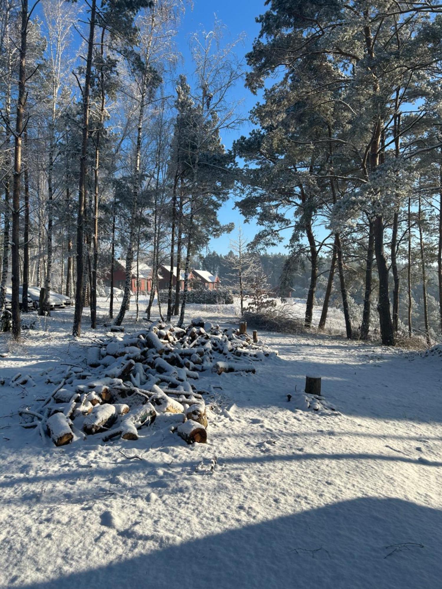 Brzezina Resort - Wille Znin Luaran gambar